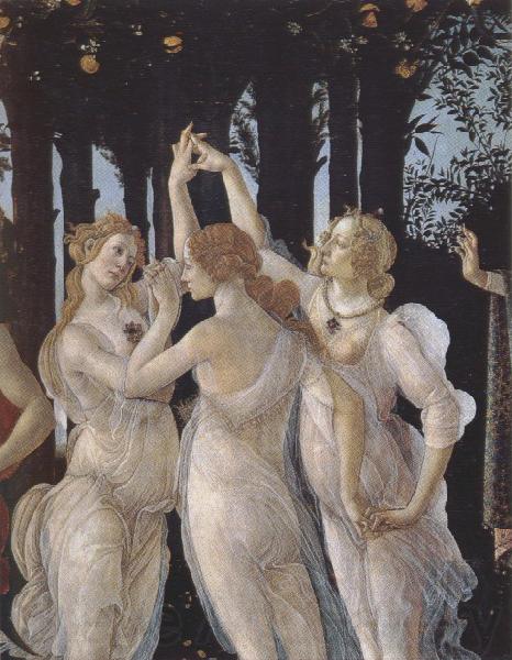 Sandro Botticelli La Primavera (mk39) Norge oil painting art